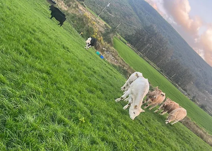 Rest And Roam Milltown (Kerry)